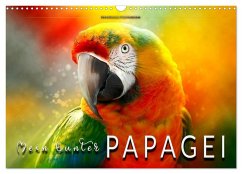 Cover Mein bunter Papagei (Wandkalender 2026 DIN A3 quer), CALVENDO Monatskalender