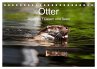 Otter - Jäger an Flüssen und Seen... - Bild 1