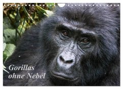 Gorillas ohne Nebel (Wandkalender 2026 DIN A4 quer), CALVENDO Monatskalender