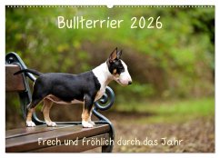 Bullterrier 2026 Frech und fröhlich durch das Jahr (Wandkalender 2026 DIN A2 quer), CALVENDO Monatskalender Bullterrier 2026 Frech und fröhlich durch das Jahr (Wandkalender 2026 DIN A2 quer), CALVENDO Monatskalender