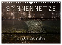 Cover Spinnennetze - Wunder der Natur (Wandkalender 2026 DIN A4 quer), CALVENDO Monatskalender