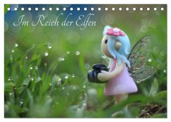 Im Reich der Elfen (Tischkalender 2026 DIN A5 quer), CALVENDO Monatskalender