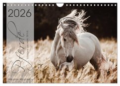 Cover Spiegel deiner Seele (Wandkalender 2026 DIN A4 quer), CALVENDO Monatskalender