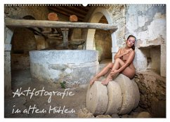 Aktfotografie in alten Mühlen (Wandkalender 2026 DIN A2 quer), CALVENDO Monatskalender