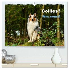 Collies? Was sonst! (hochwertiger Premium Wandkalender 2026 DIN A2 quer), Kunstdruck in Hochglanz
