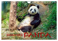 Cover Niedlicher Panda (Wandkalender 2026 DIN A4 quer), CALVENDO Monatskalender