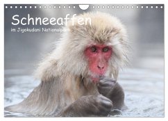 Schneeaffen im Jigokudani Nationalpark (Wandkalender 2026 DIN A4 quer), CALVENDO Monatskalender
