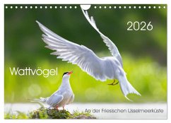 Cover Wattvögel an der Friesischen IJsselmeerküste (Wandkalender 2026 DIN A4 quer), CALVENDO Monatskalender