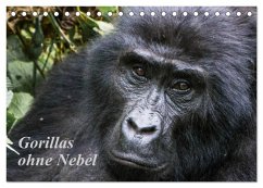 Gorillas ohne Nebel (Tischkalender 2026 DIN A5 quer), CALVENDO Monatskalender