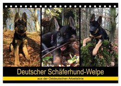 Deutscher Schäferhund-Welpe - aus der Ostdeutschen Arbeitslinie (Tischkalender 2026 DIN A5 quer), CALVENDO Monatskalender Deutscher Schäferhund-Welpe - aus der Ostdeutschen Arbeitslinie (Tischkalender 2026 DIN A5 quer), CALVENDO Monatskalender