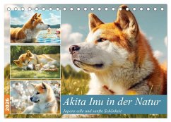 Cover Akita Inu in der Natur. Japans edle und sanfte Schönheit (Tischkalender 2026 DIN A5 quer), CALVENDO Monatskalender