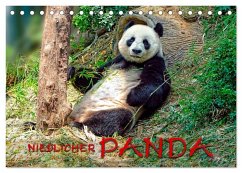 Niedlicher Panda (Tischkalender 2026 DIN A5 quer), CALVENDO Monatskalender