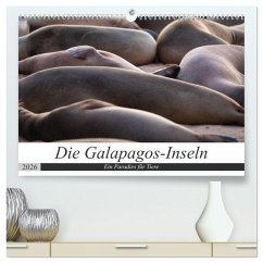 Cover Galapagos-Inseln - Ein Paradies für Tiere (hochwertiger Premium Wandkalender 2026 DIN A2 quer), Kunstdruck in Hochglanz