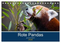 Cover Rote Pandas - geschickte Kletterer (Tischkalender 2026 DIN A5 quer), CALVENDO Monatskalender