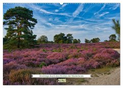 Streifzüge durch den Norden der Niederlande (Wandkalender 2026 DIN A2 quer), CALVENDO Monatskalender