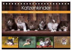 Katzenkinder - Britisch Kurzhaar (Tischkalender 2026 DIN A5 quer), CALVENDO Monatskalender Katzenkinder - Britisch Kurzhaar (Tischkalender 2026 DIN A5 quer), CALVENDO Monatskalender
