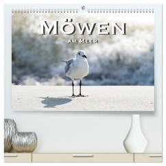 Möwen am Meer (hochwertiger Premium Wandkalender 2026 DIN A2 quer), Kunstdruck in Hochglanz