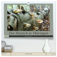 Cover Der Hainich in Thüringen - Weltnaturerbe (hochwertiger Premium Wandkalender 2026 DIN A2 quer), Kunstdruck in Hochglanz