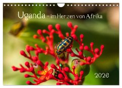 Uganda - im Herzen von Afrika (Wandkalender 2026 DIN A4 quer), CALVENDO Monatskalender