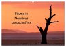 Bäume in Namibias Landschaften... - Bild 1