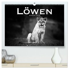 Löwen schwarz weiß (hochwertiger Premium Wandkalender 2026 DIN A2 quer), Kunstdruck in Hochglanz