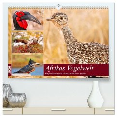 Afrikas Vogelwelt 2026 (hochwertiger Premium Wandkalender 2026 DIN A2 quer), Kunstdruck in Hochglanz