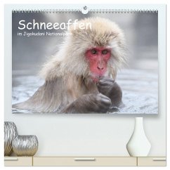 Schneeaffen im Jigokudani Nationalpark (hochwertiger Premium Wandkalender 2026 DIN A2 quer), Kunstdruck in Hochglanz Schneeaffen im Jigokudani Nationalpark (hochwertiger Premium Wandkalender 2026 DIN A2 quer), Kunstdruck in Hochglanz