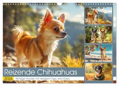 Reizende Chihuahuas. Winzige Hunde mit riesigem Ego und Grips (Wandkalender 2026 DIN A3 quer), CALVENDO Monatskalender Reizende Chihuahuas. Winzige Hunde mit riesigem Ego und Grips (Wandkalender 2026 DIN A3 quer), CALVENDO Monatskalender