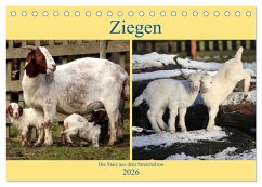 Cover Ziegen - Die Stars aus dem Streichelzoo (Tischkalender 2026 DIN A5 quer), CALVENDO Monatskalender
