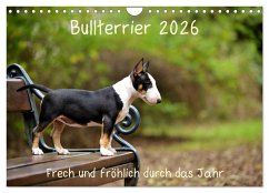 Bullterrier 2026 Frech und fröhlich durch das Jahr (Wandkalender 2026 DIN A4 quer), CALVENDO Monatskalender Bullterrier 2026 Frech und fröhlich durch das Jahr (Wandkalender 2026 DIN A4 quer), CALVENDO Monatskalender