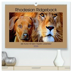Rhodesian Ridgeback der Hund mit dem Tropfen Löwenblut (hochwertiger Premium Wandkalender 2026 DIN A2 quer), Kunstdruck in Hochglanz Rhodesian Ridgeback der Hund mit dem Tropfen Löwenblut (hochwertiger Premium Wandkalender 2026 DIN A2 quer), Kunstdruck in Hochglanz