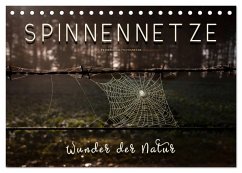 Cover Spinnennetze - Wunder der Natur (Tischkalender 2026 DIN A5 quer), CALVENDO Monatskalender