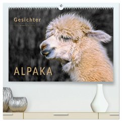 Alpaka Gesichter (hochwertiger Premium Wandkalender 2026 DIN A2 quer), Kunstdruck in Hochglanz