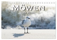 Möwen am Meer (Tischkalender 2026 DIN A5 quer), CALVENDO Monatskalender