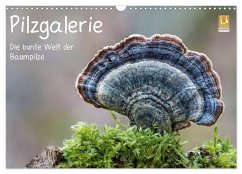 Pilzgalerie - Die bunte Welt der Baumpilze (Wandkalender 2026 DIN A3 quer), CALVENDO Monatskalender Pilzgalerie - Die bunte Welt der Baumpilze (Wandkalender 2026 DIN A3 quer), CALVENDO Monatskalender