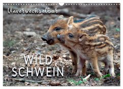 Unverwechselbar - Wildschwein (Wandkalender 2026 DIN A3 quer), CALVENDO Monatskalender
