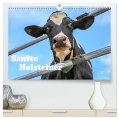 Cover Sanfte Holsteiner (hochwertiger Premium Wandkalender 2026 DIN A2 quer), Kunstdruck in Hochglanz