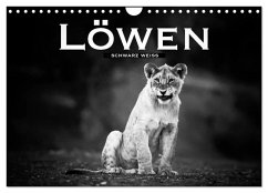 Löwen schwarz weiß (Wandkalender 2026 DIN A4 quer), CALVENDO Monatskalender