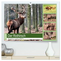 Der Rothirsch - Der König in unseren Wäldern (hochwertiger Premium Wandkalender 2026 DIN A2 quer), Kunstdruck in Hochglanz Der Rothirsch - Der König in unseren Wäldern (hochwertiger Premium Wandkalender 2026 DIN A2 quer), Kunstdruck in Hochglanz