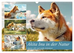 Cover Akita Inu in der Natur. Japans edle und sanfte Schönheit (Wandkalender 2026 DIN A3 quer), CALVENDO Monatskalender