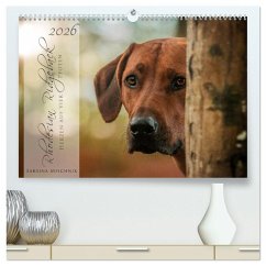Rhodesian Ridgeback - Herzen auf vier Pfoten (hochwertiger Premium Wandkalender 2026 DIN A2 quer), Kunstdruck in Hochglanz