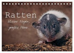 Ratten. Kleine Nager, großes Herz. (Tischkalender 2026 DIN A5 quer), CALVENDO Monatskalender Ratten. Kleine Nager, großes Herz. (Tischkalender 2026 DIN A5 quer), CALVENDO Monatskalender