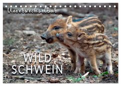 Unverwechselbar - Wildschwein (Tischkalender 2026 DIN A5 quer), CALVENDO Monatskalender