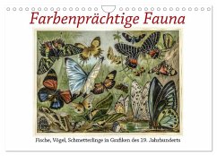 Farbenprächtige Fauna. Fische, Vögel, Schmetterlinge in Grafiken des 19 Jahrhunderts (Wandkalender 2026 DIN A4 quer), CALVENDO Monatskalender Farbenprächtige Fauna. Fische, Vögel, Schmetterlinge in Grafiken des 19 Jahrhunderts (Wandkalender 2026 DIN A4 quer), CALVENDO Monatskalender
