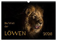 Die Welt der Löwen (Wandkalender 2026 DIN A3 quer), CALVENDO Monatskalender