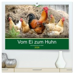 Vom Ei zum Huhn. Die Entwicklung von Küken (hochwertiger Premium Wandkalender 2026 DIN A2 quer), Kunstdruck in Hochglanz