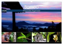 Borneo - Tierparadies Regenwald (Wandkalender 2026 DIN A2 quer), CALVENDO Monatskalender Borneo - Tierparadies Regenwald (Wandkalender 2026 DIN A2 quer), CALVENDO Monatskalender