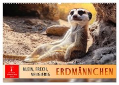 Cover Erdmännchen - klein, frech, neugierig (Wandkalender 2026 DIN A2 quer), CALVENDO Monatskalender