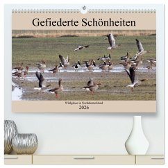 Gefiederte Schönheiten - Wildgänse in Norddeutschland (hochwertiger Premium Wandkalender 2026 DIN A2 quer), Kunstdruck in Hochglanz Gefiederte Schönheiten - Wildgänse in Norddeutschland (hochwertiger Premium Wandkalender 2026 DIN A2 quer), Kunstdruck in Hochglanz