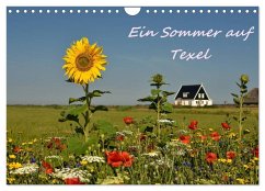 Ein Sommer auf Texel (Wandkalender 2026 DIN A4 quer), CALVENDO Monatskalender Ein Sommer auf Texel (Wandkalender 2026 DIN A4 quer), CALVENDO Monatskalender